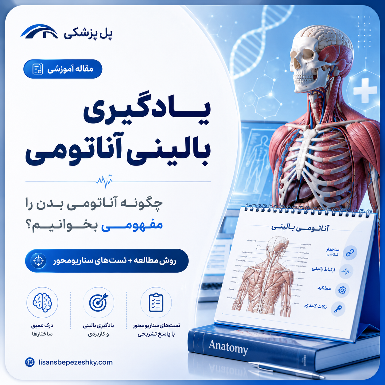 آموزش یادگیری بالینی و مفهومی آناتومی بدن